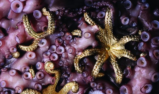 Discover The Best Sellers of the Year 2017 | Brings to you the ultimate selection of this year's best sellers in the word of design. #interiordesign #bestsellers #homedecor #decortrends #designworld