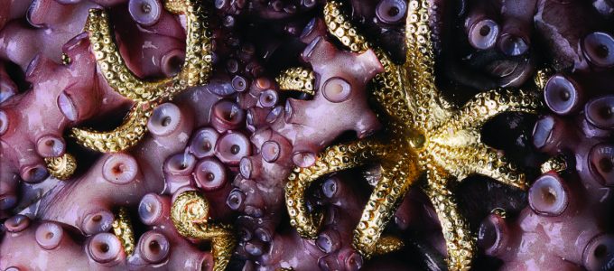 Discover The Best Sellers of the Year 2017 | Brings to you the ultimate selection of this year's best sellers in the word of design. #interiordesign #bestsellers #homedecor #decortrends #designworld