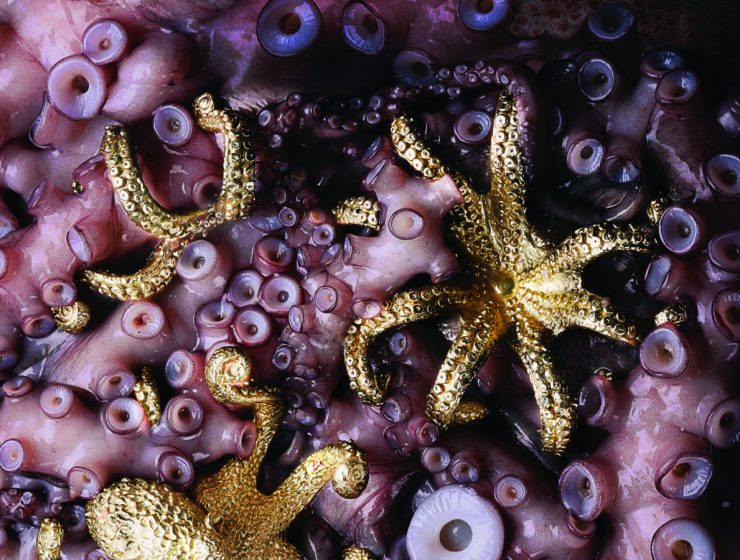 Discover The Best Sellers of the Year 2017 | Brings to you the ultimate selection of this year's best sellers in the word of design. #interiordesign #bestsellers #homedecor #decortrends #designworld